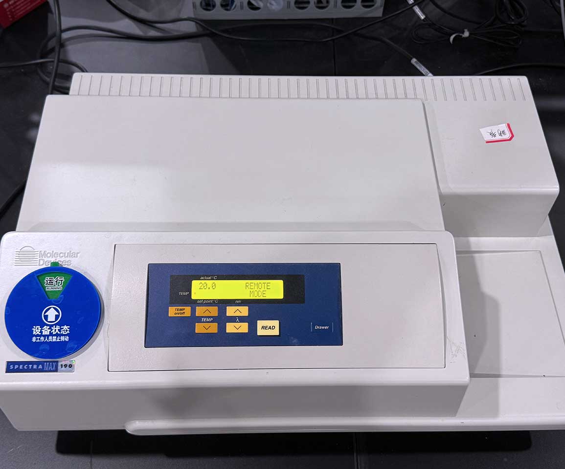 β-葡萄糖苷酶(β-GC)活性检测